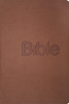 Bible21 - umělá kůže tmavě hnědá