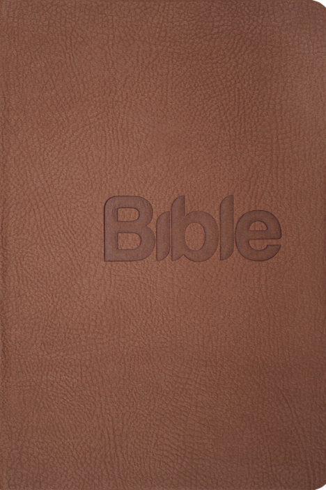 Bible21 - umělá kůže tmavě hnědá